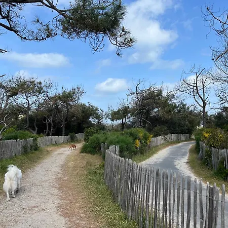Vakantiehuis Peaceful Haven Between Countryside And Ocean